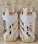 פרמיום ציפוי ננו לבן P21 2