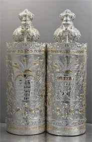 ציפוי כסף שבעת מינים S41