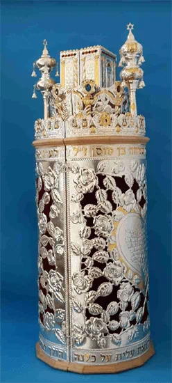 ציפוי כסף+קטיפה מנוסר S25