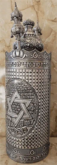 פיוטר  25 פרימיום P8