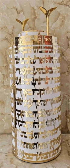 פרמיום ציפוי ננו לבן אשת חיל P20